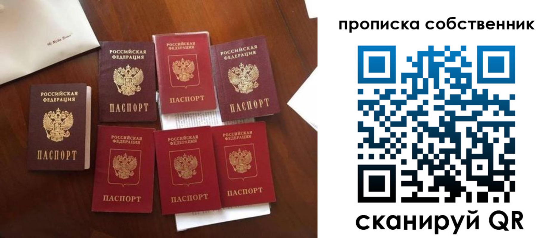 прописка для школы в Галиче